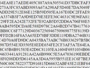 hashes