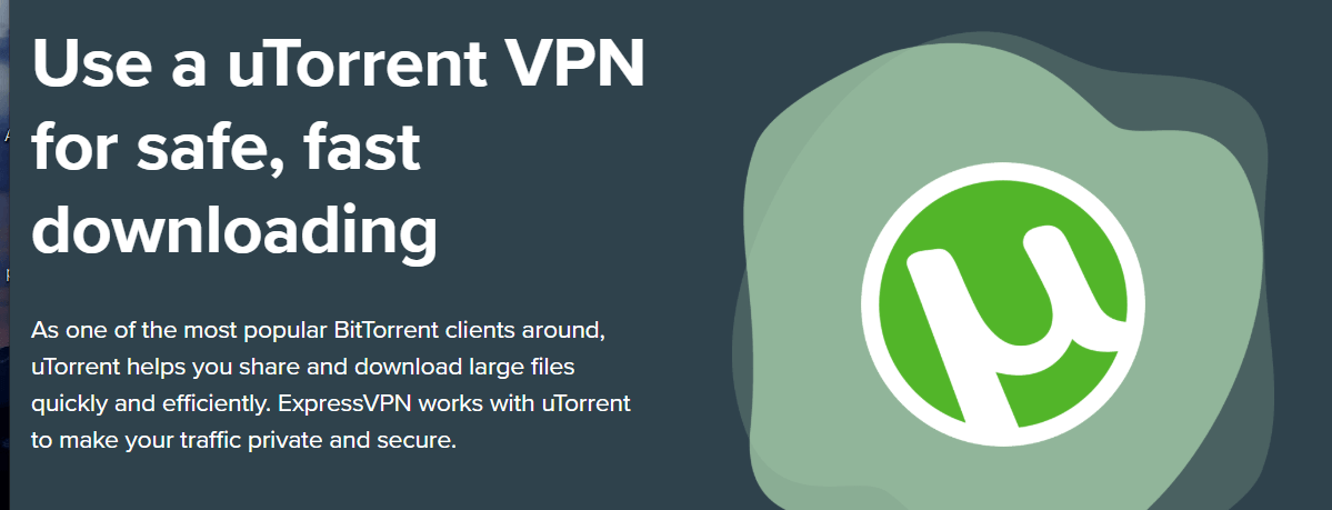 a vpn to download torrents